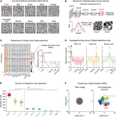 Invariance of object detection in untrained deep neural networks